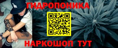 бошки Гай