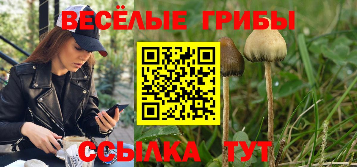 Бутират Чехов