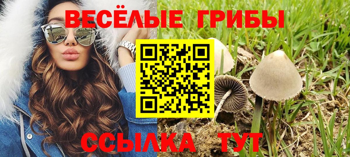 Псилоцибиновые грибы GOLDEN TEACHER  закладки  Чехов  Вход с VPN 