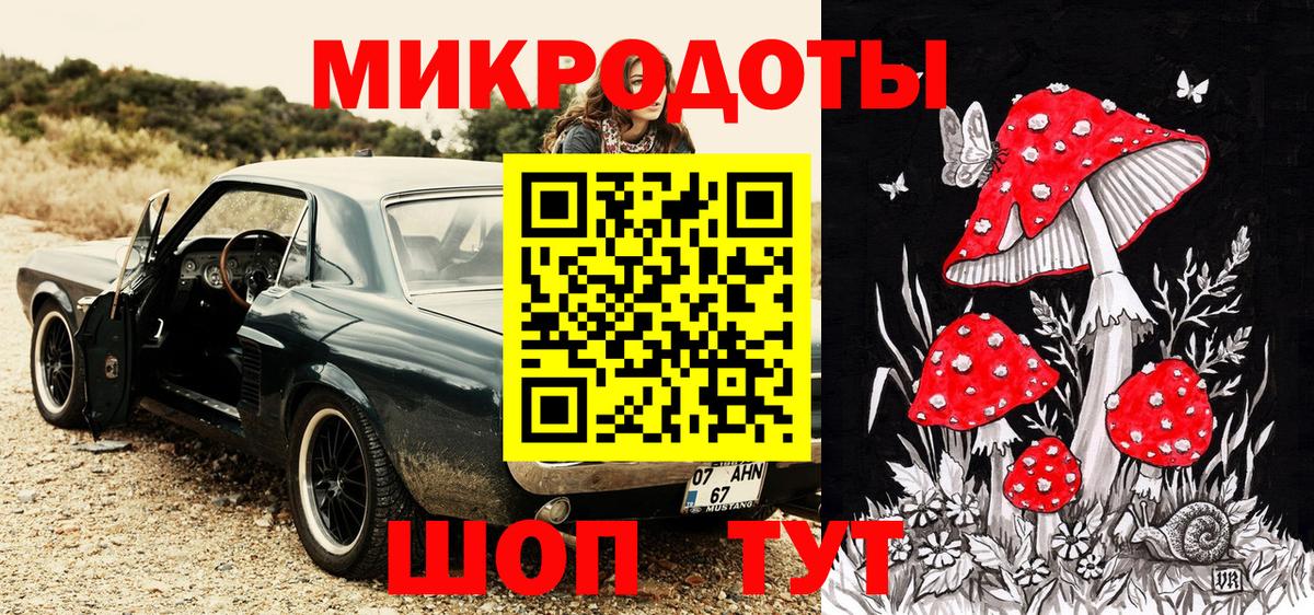Псилоцибиновые грибы Psilocybe Чехов